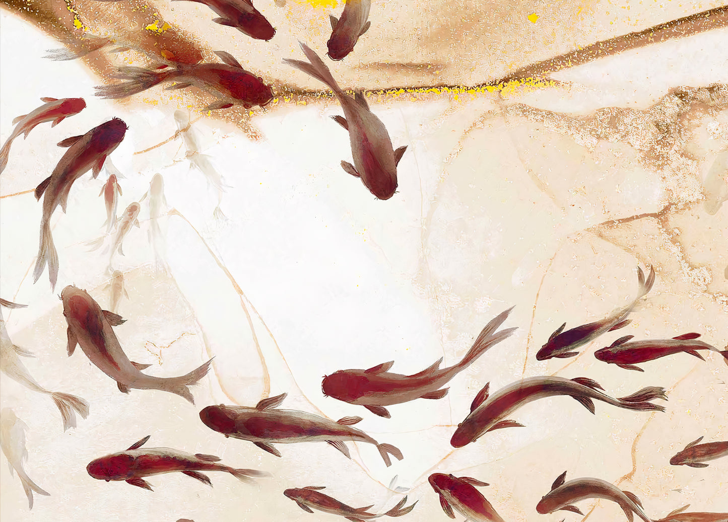 Fiji Wallpaper Collection | Koi Fish