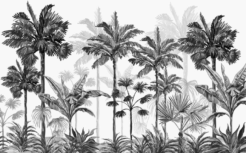 Humid Jungle Wallpaper Collection I Black and White Forest